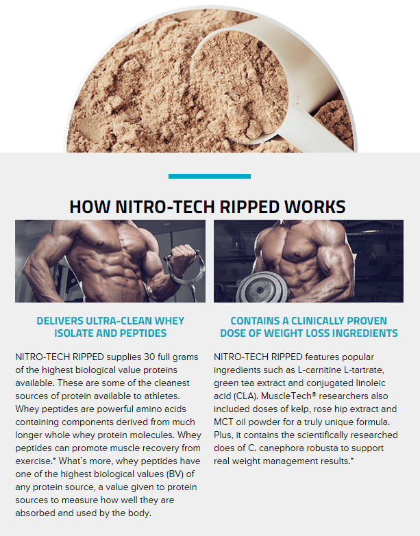 MUSCLETECH NITROTECH RIPPED, CHOCOLATE, 2 LBS PRODUCT DETAILS