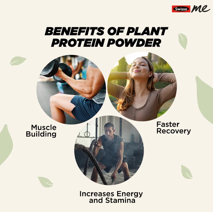 SwisseMe Plant Protein Powder, Chocolate, 500gm 4